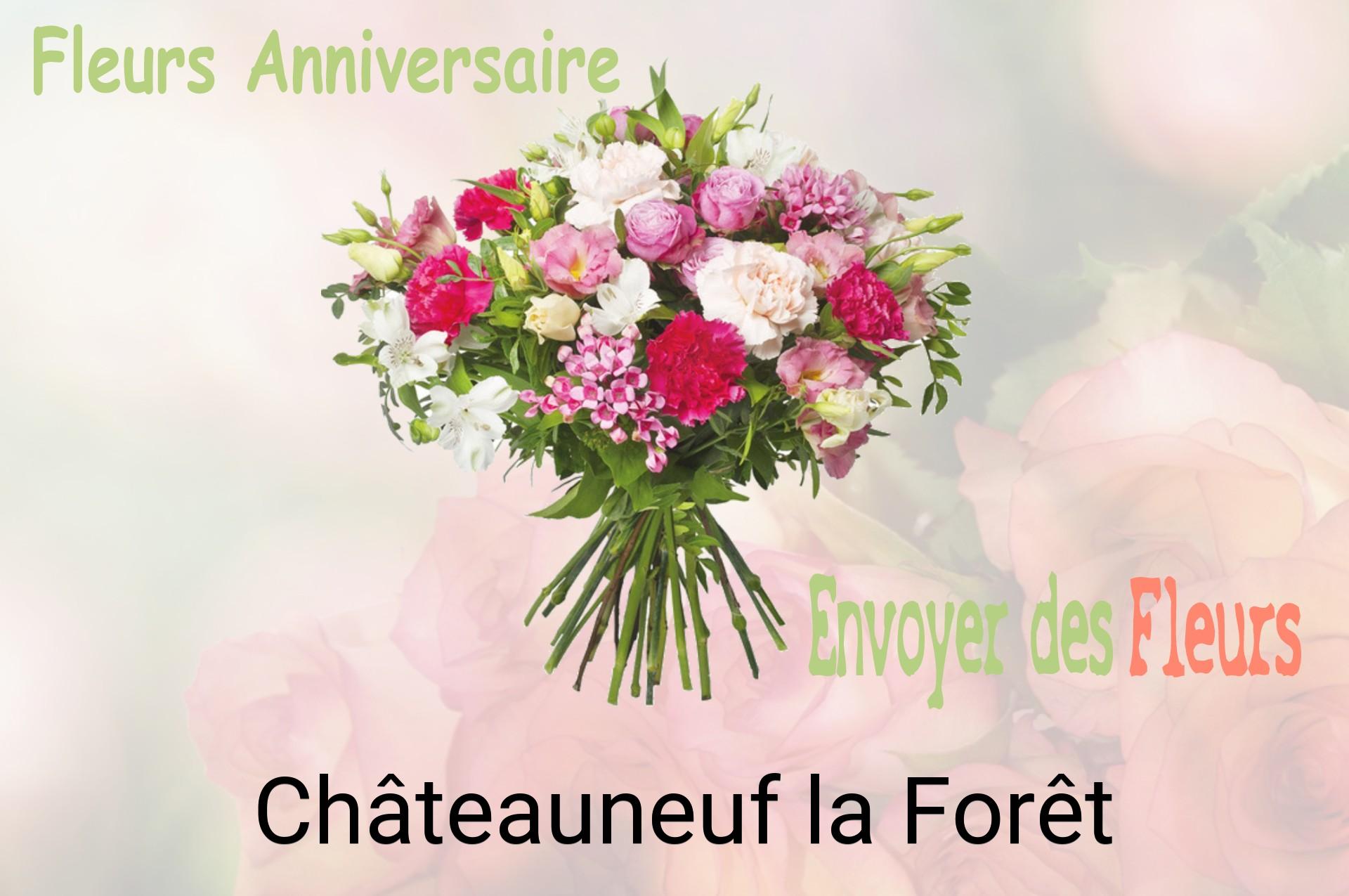 Bouquet de fleurs d’anniversaire livré à Châteauneuf-la-Forêt