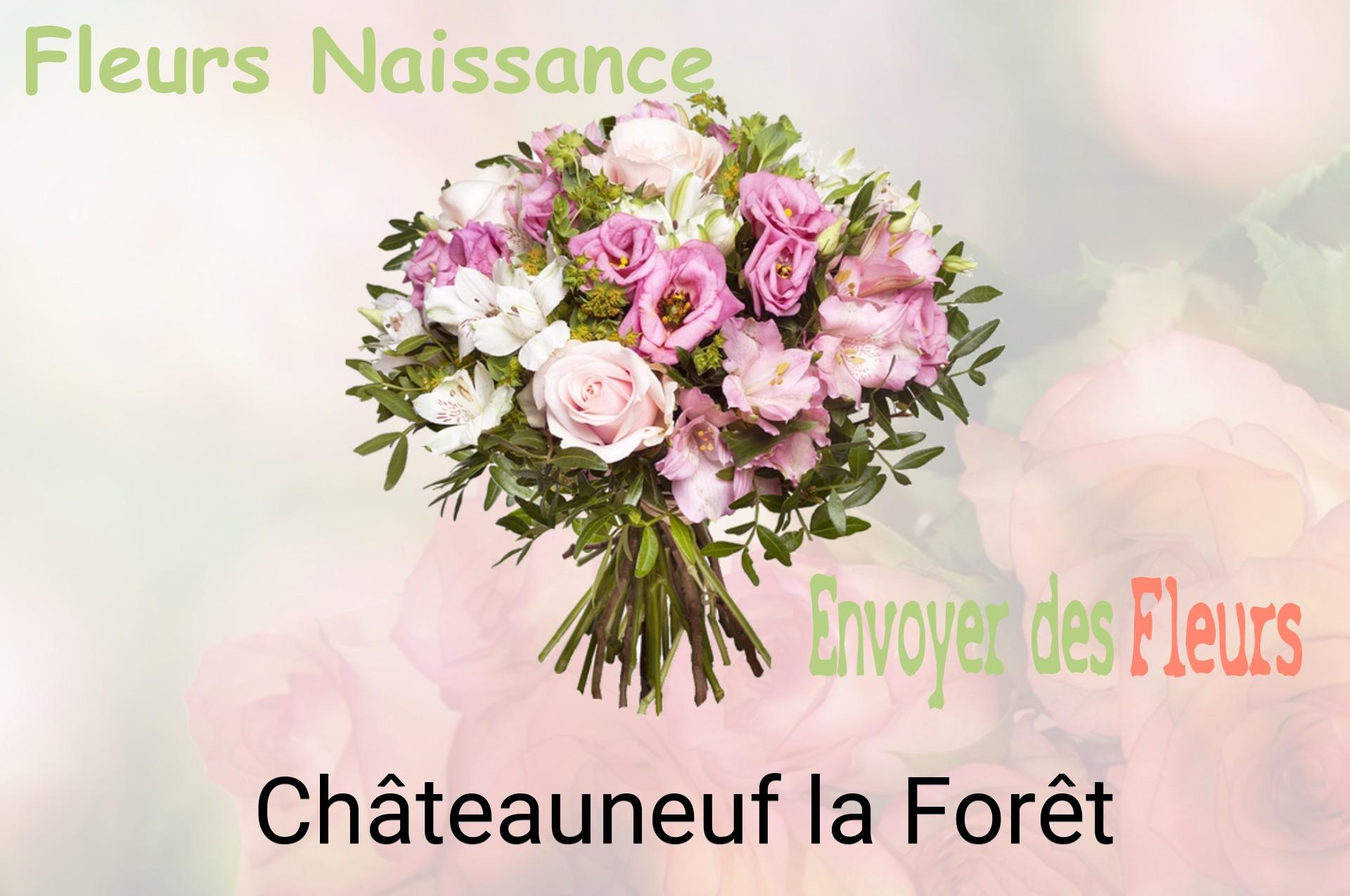 Bouquet de fleurs de naissance livré à Châteauneuf-la-Forêt