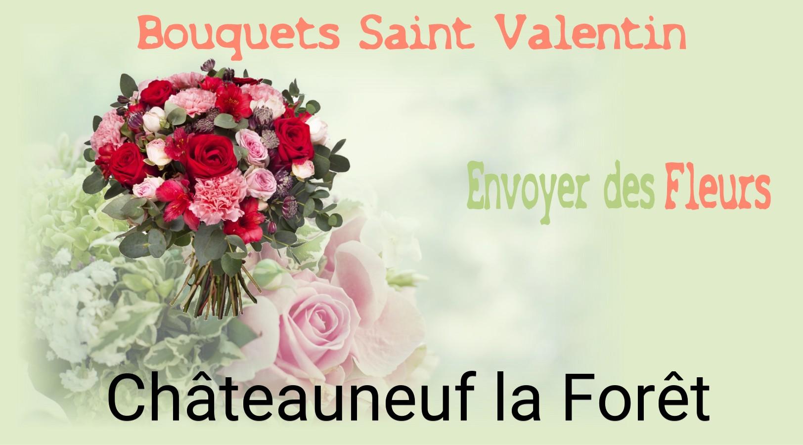 Roses de Saint-Valentin livrées à Châteauneuf-la-Forêt