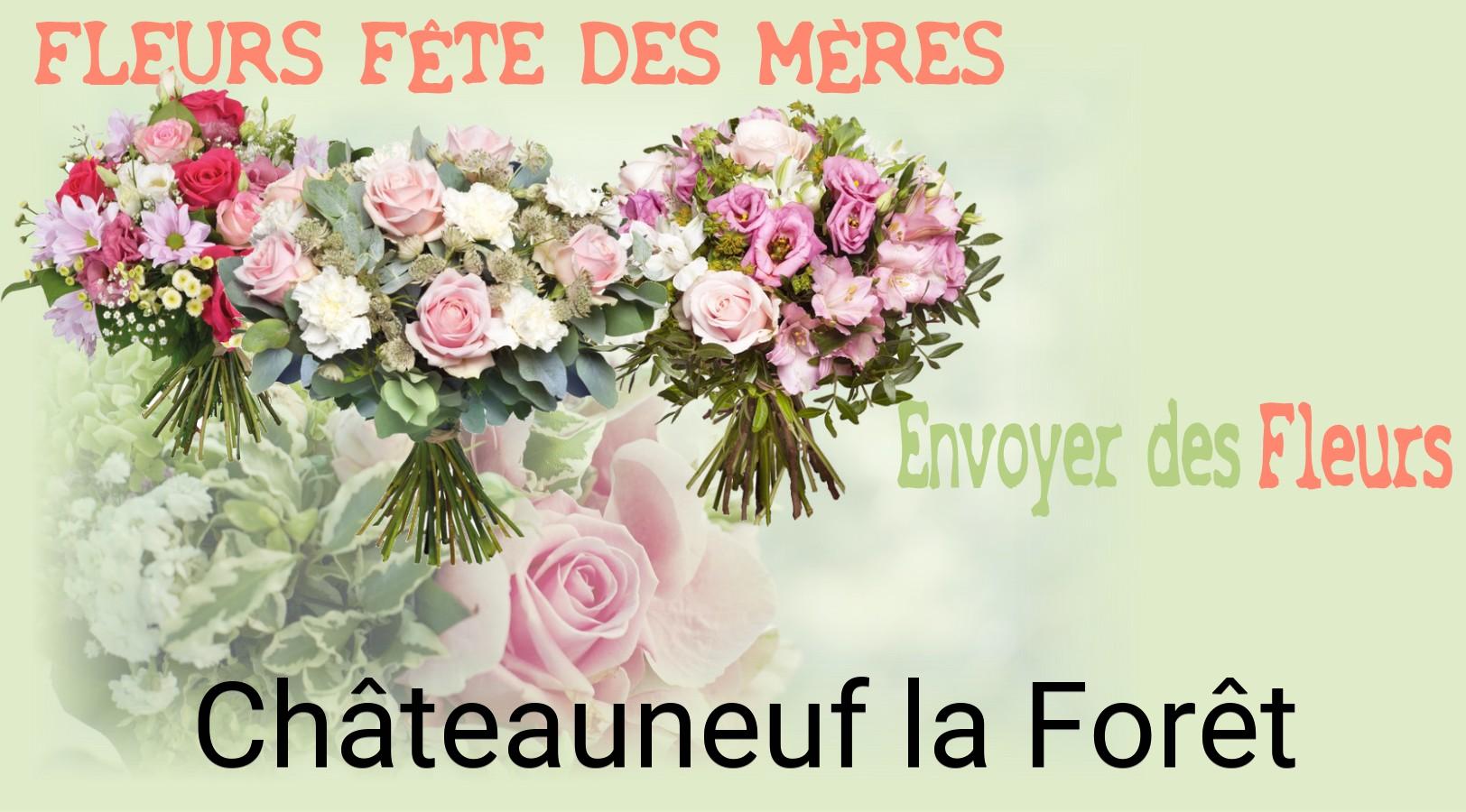 Bouquet de Fête des Mères livré à Châteauneuf-la-Forêt